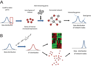 Novel algorithms for extraction of network models from multidimensional genome-scale data.